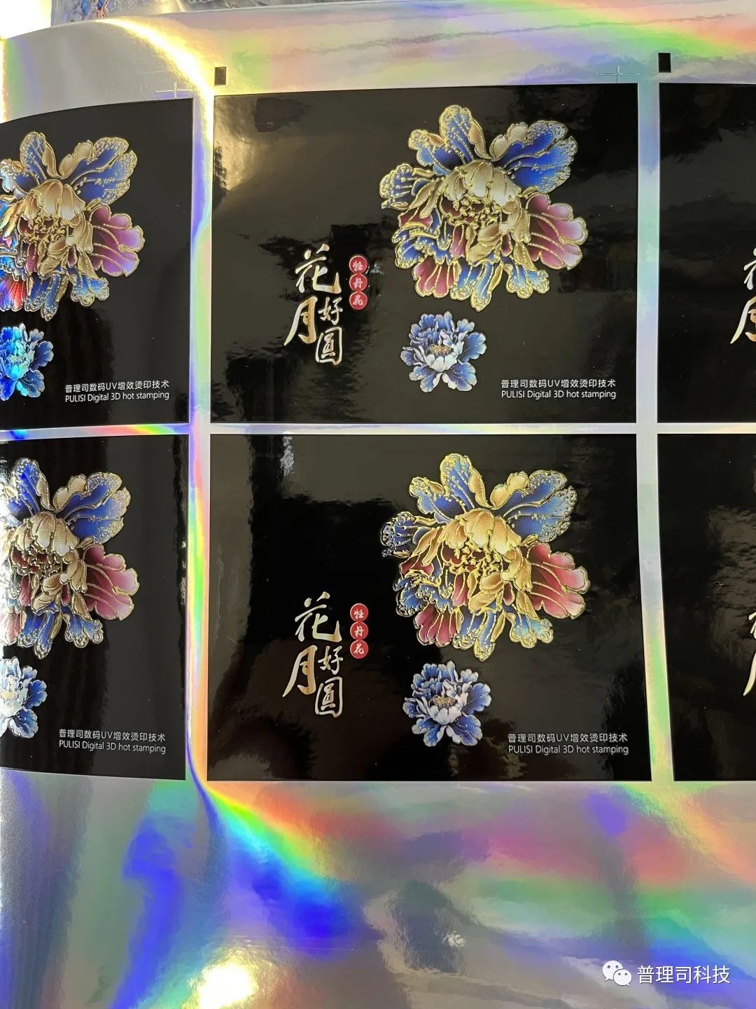 圖片